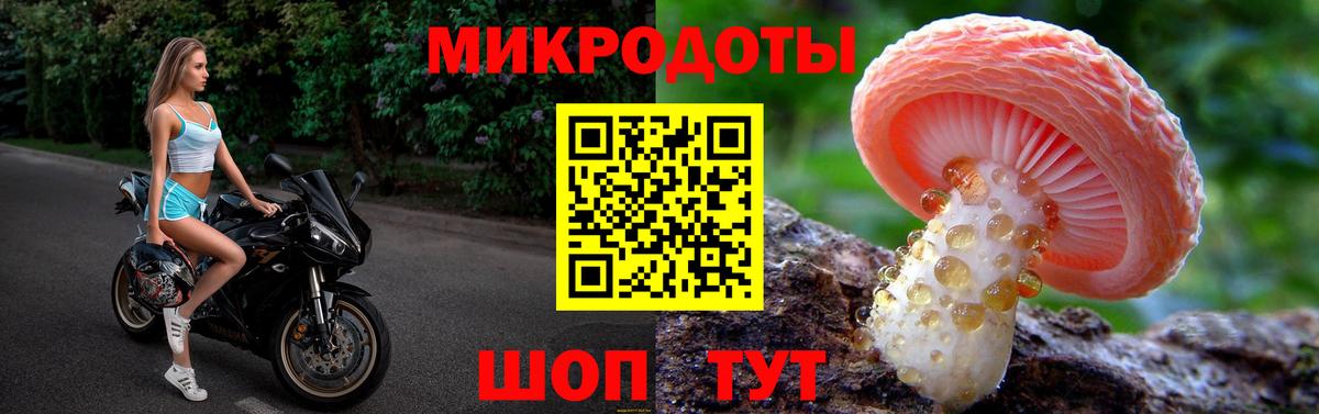 Псилоцибиновые грибы GOLDEN TEACHER Калининград